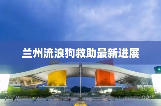 兰州流浪狗救助最新进展
