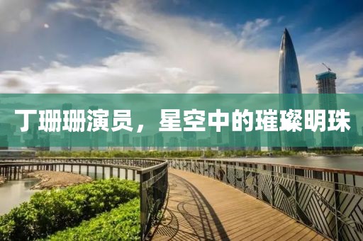 丁珊珊演员，星空中的璀璨明珠