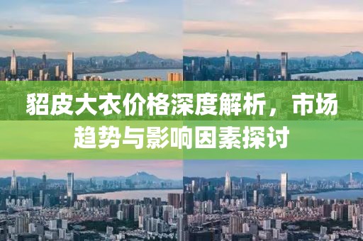貂皮大衣价格深度解析，市场趋势与影响因素探讨