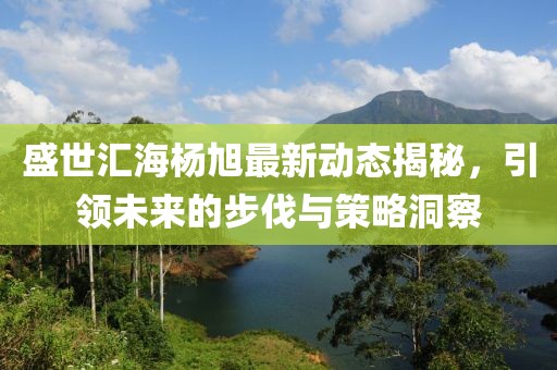 盛世汇海杨旭最新动态揭秘，引领未来的步伐与策略洞察