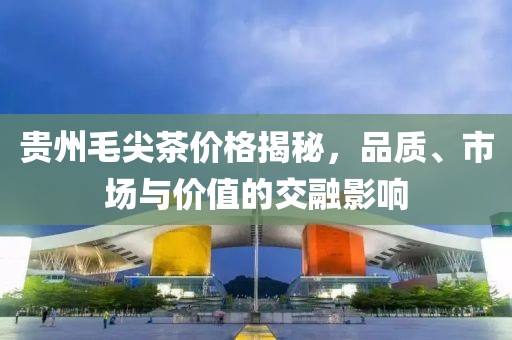 贵州毛尖茶价格揭秘，品质、市场与价值的交融影响