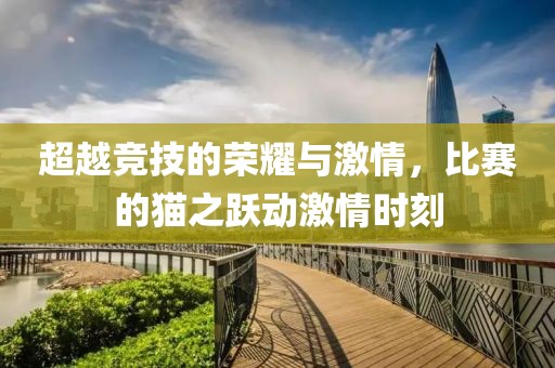 超越竞技的荣耀与激情，比赛的猫之跃动激情时刻