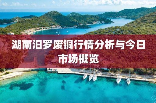 湖南汨罗废铜行情分析与今日市场概览