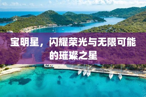 宝明星，闪耀荣光与无限可能的璀璨之星
