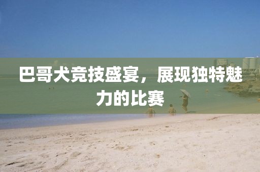巴哥犬竞技盛宴，展现独特魅力的比赛