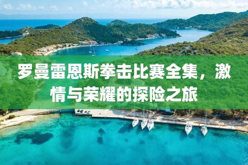 罗曼雷恩斯拳击比赛全集，激情与荣耀的探险之旅