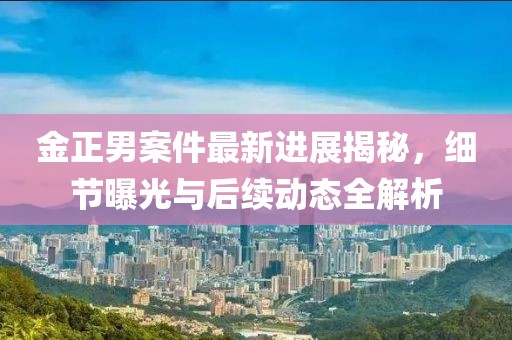 金正男案件最新进展揭秘，细节曝光与后续动态全解析