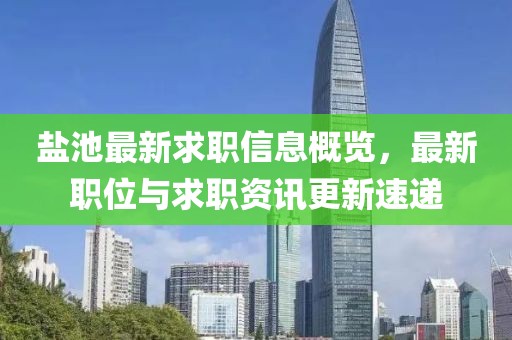 盐池最新求职信息概览，最新职位与求职资讯更新速递
