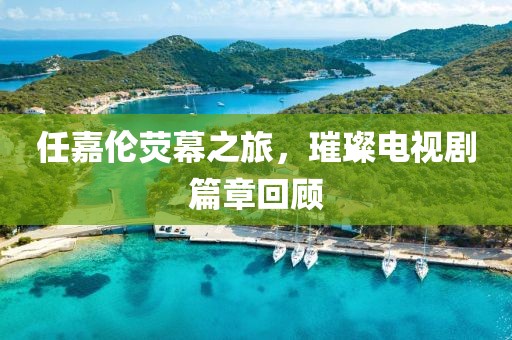 任嘉伦荧幕之旅，璀璨电视剧篇章回顾