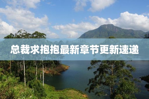 总裁求抱抱最新章节更新速递