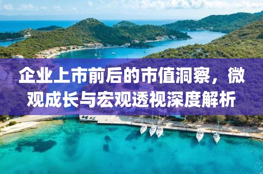 企业上市前后的市值洞察，微观成长与宏观透视深度解析