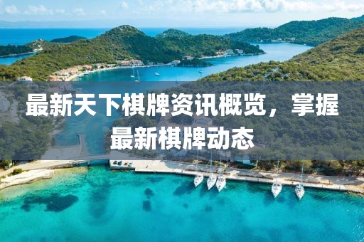 最新天下棋牌资讯概览，掌握最新棋牌动态