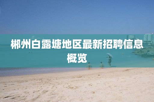 郴州白露塘地区最新招聘信息概览