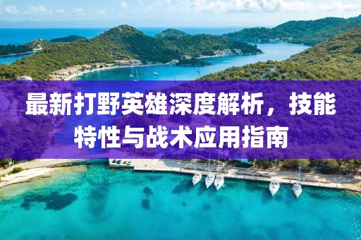 最新打野英雄深度解析，技能特性与战术应用指南