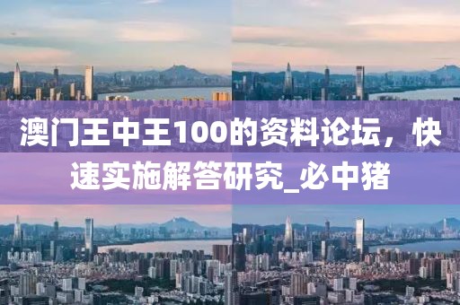 澳门王中王100的资料论坛，快速实施解答研究_必中猪