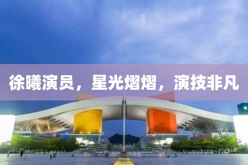 徐曦演员，星光熠熠，演技非凡