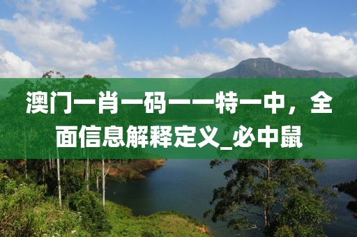 成功案例 第252页