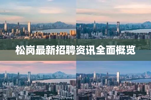 松岗最新招聘资讯全面概览