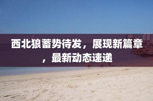 西北狼蓄势待发，展现新篇章，最新动态速递
