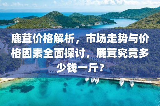 鹿茸价格解析，市场走势与价格因素全面探讨，鹿茸究竟多少钱一斤？