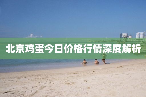北京鸡蛋今日价格行情深度解析