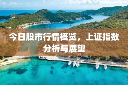 今日股市行情概览，上证指数分析与展望
