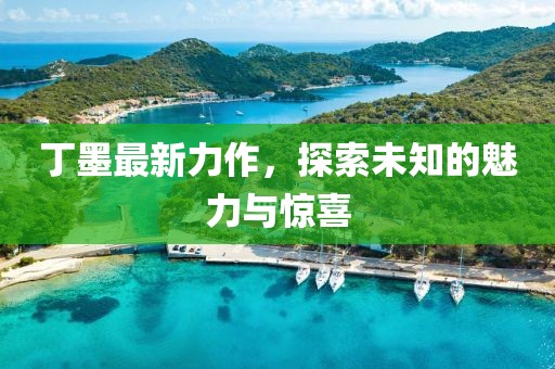 丁墨最新力作，探索未知的魅力与惊喜