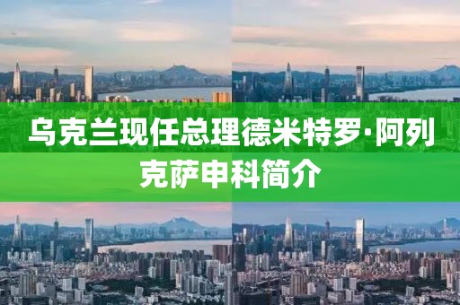 乌克兰现任总理德米特罗·阿列克萨申科简介