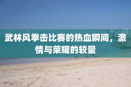 武林风拳击比赛的热血瞬间，激情与荣耀的较量