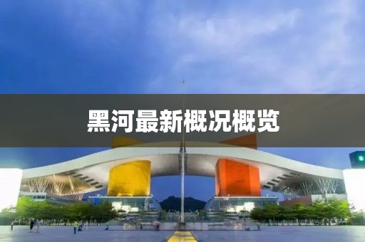 黑河最新概况概览