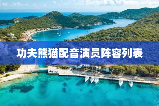 功夫熊猫配音演员阵容列表