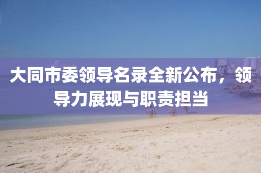 大同市委领导名录全新公布，领导力展现与职责担当