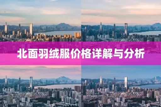北面羽绒服价格详解与分析