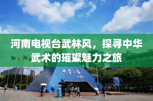 河南电视台武林风，探寻中华武术的璀璨魅力之旅
