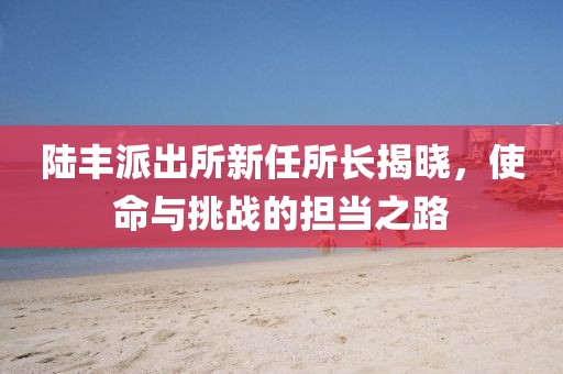 陆丰派出所新任所长揭晓，使命与挑战的担当之路