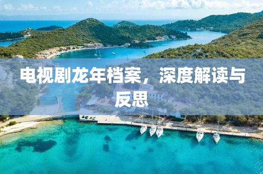 电视剧龙年档案，深度解读与反思