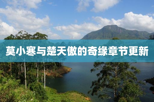 莫小寒与楚天傲的奇缘章节更新