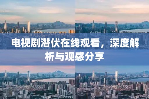 电视剧潜伏在线观看，深度解析与观感分享