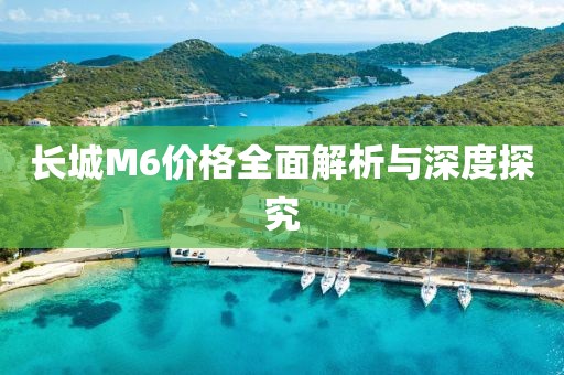 长城M6价格全面解析与深度探究