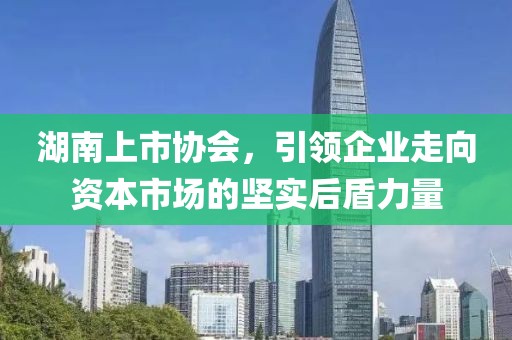 湖南上市协会，引领企业走向资本市场的坚实后盾力量
