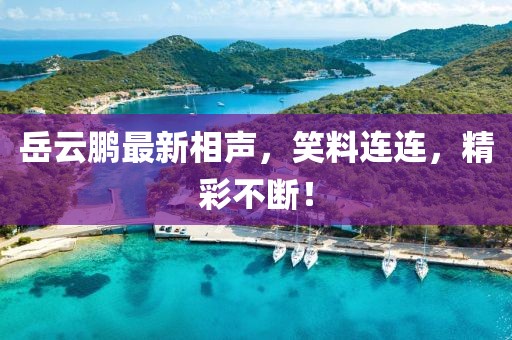 岳云鹏最新相声，笑料连连，精彩不断！