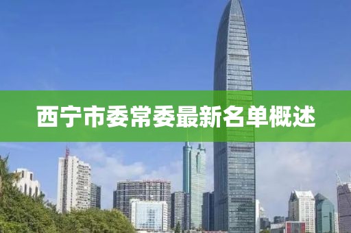西宁市委常委最新名单概述