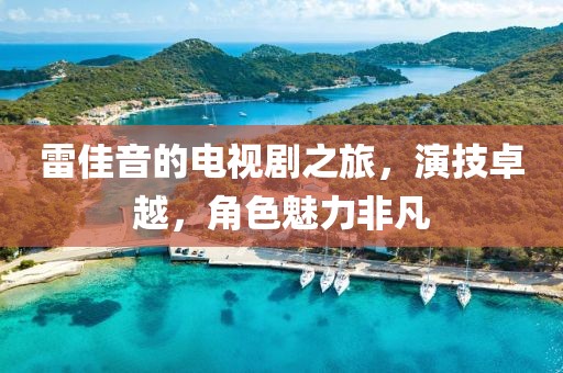 雷佳音的电视剧之旅，演技卓越，角色魅力非凡
