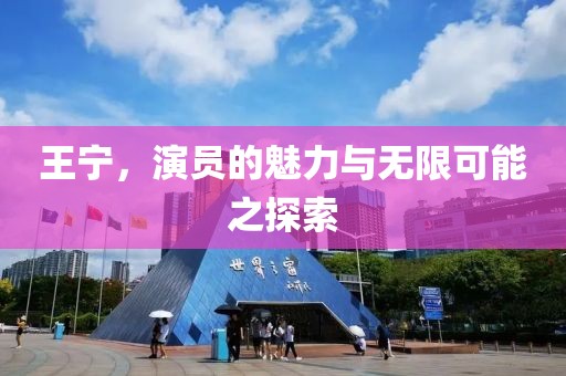 王宁，演员的魅力与无限可能之探索