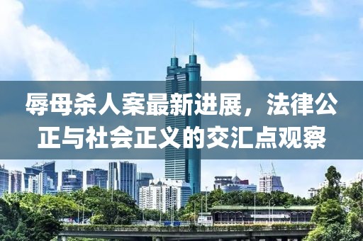 辱母杀人案最新进展，法律公正与社会正义的交汇点观察