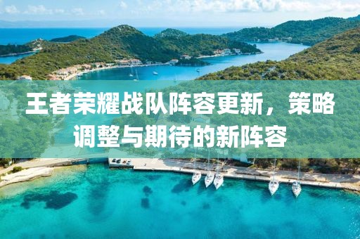 王者荣耀战队阵容更新，策略调整与期待的新阵容