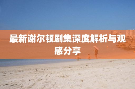最新谢尔顿剧集深度解析与观感分享