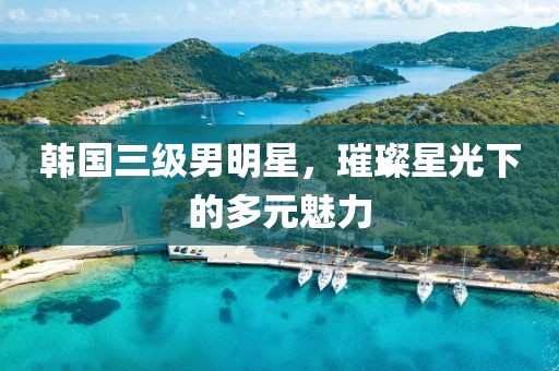 韩国三级男明星，璀璨星光下的多元魅力