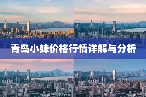 青岛小妹价格行情详解与分析