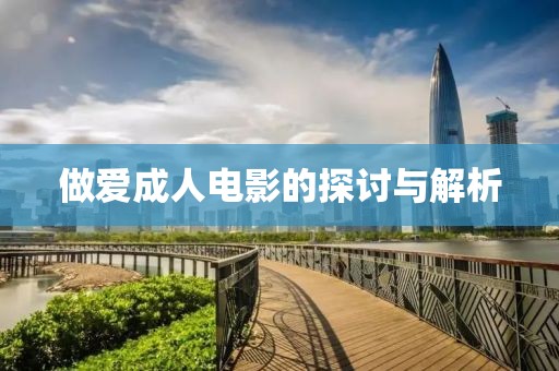 做爱成人电影的探讨与解析